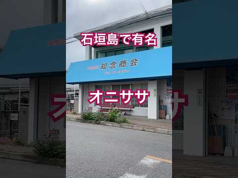 【石垣島】有名なB級グルメ「オニササ」石垣在住の友人が作ってくれた♪ #石垣島グルメ #オニササ