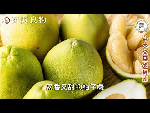 斗六文旦大揭密：只要努力總會開花結果