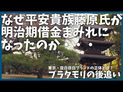 【後編】ブラタモリ「目白ブランドの正体とは？」を後追い【歴史】【坂】【椿山荘】【田中角栄】【近衛文麿】【目白】【大名】【解説】