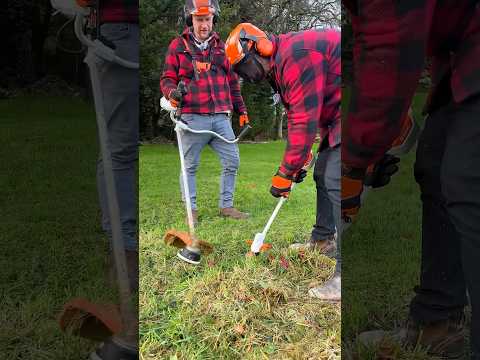 Could this be your Kids first STIHL Grass Trimmer?