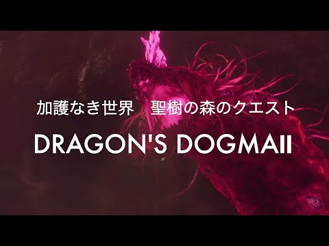 加護なき世界　聖樹の森のクエスト【DRAGON'S DOGMA2 PS5】