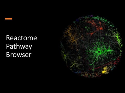 Reactome Pathway Browser