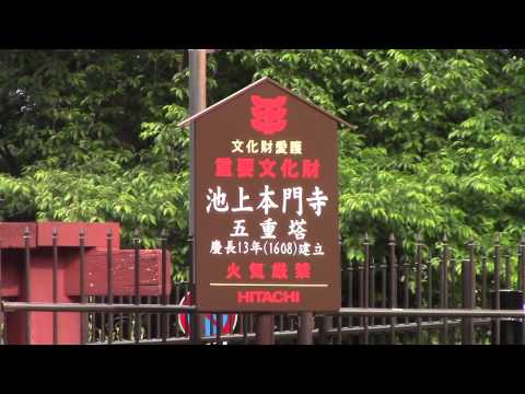 池上本門寺　五重塔　five-story pagoda in Ikegami Honmonji temple in Ootaku Tokyo Japan