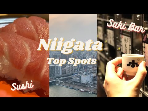 Solo trip to Japan's Countryside || Top sites in Niigata