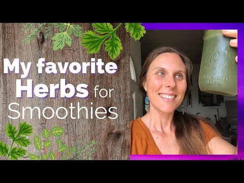 Herbs for Smoothies - My current faves