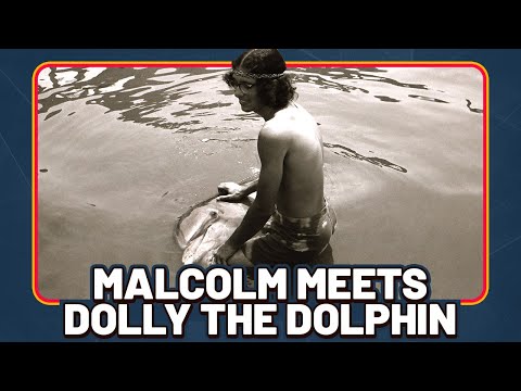 Malcolm Meets Dolly the Dolphin [Dolphin Lover Clip]