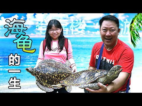 Terengganu Trip Save Our Sea Turtle 海龟的一生! (州 2 -丁加奴- State 2-Terengganu) Steven&Leong｜慧走高飞009