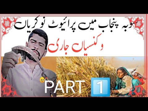 baisakhi vlog || baisakhi festival in punjab || baisakhi Jobs 🌾🌼