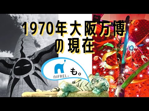 1970年大阪万博の地で遊ぶ/太陽の塔/万博記念公園/ニフレル　‘70 EXPO in Osaka/The Tower of the Sun/NIFREL