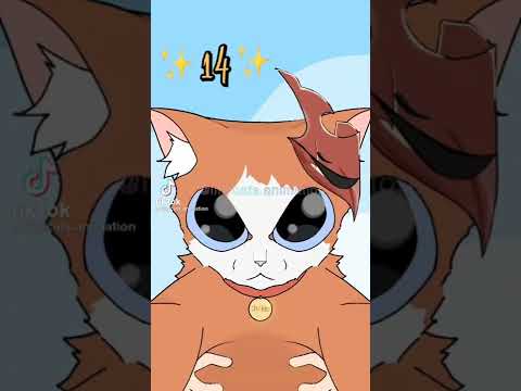 lillycats.animaton all videos. Anime+Animal Animations.