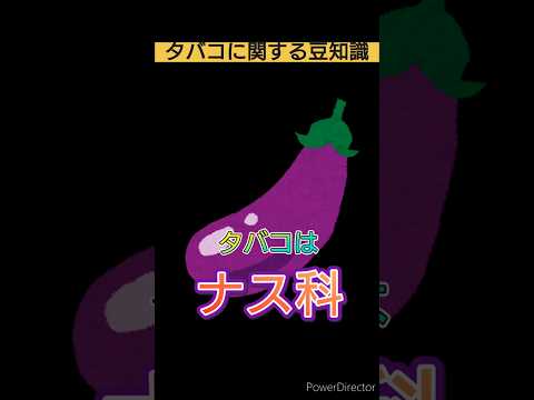 タバコに関する豆知識　#雑学 #タバコ #豆知識