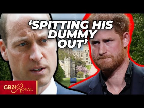 Prince Harry 'behaving like a spoilt BRAT' as he DEMANDS apology from William