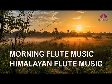 Morning Flute Music | Himalayan Flute Music | Meditation Music | (बाँसुरी) Aparmita Ep. 174