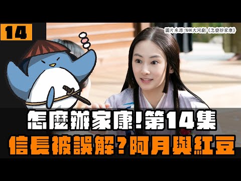 【怎麼辦家康】第14集・歷史解說 | 家康跟淺井長政都誤會信長？阿月跟紅豆袋的隱藏設定？