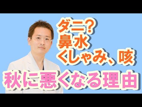 ダニ⁉鼻水、くしゃみ、咳が秋に悪くなる理由【公式 やまぐち呼吸器内科・皮膚科クリニック】