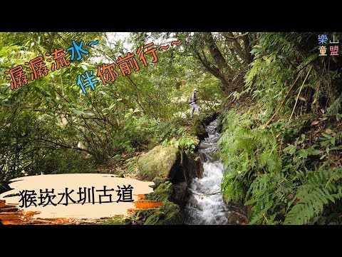 [台北北投] 悠遊"竹子湖"[中篇]百年楓香巨木-猴崁水圳古道-青楓步道(大梯田) / Houkan Furrow In Field Historic Trail,Maple Trail