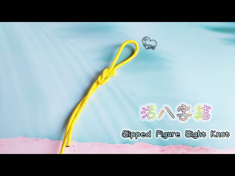 Slipped Figure Eight Knot - 活八字結 - 繩結 - 結び目 - 매듭