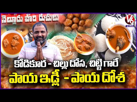 Nelluru Vari Ruchulu :  Non Veg Breakfasts Adda  | Kodi Kura - Chitti Gaare  | Paya Idly  | V6 Life