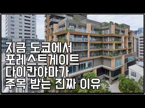 지금 도쿄에서 포레스트게이트 다이칸야마가 주목받는 진짜 이유