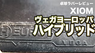 XIOMヴェガヨーロッパハイブリッドを使用してみた感想