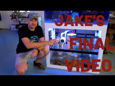 Automatic Filter Rollers we use at the REEF BUILDERS STUDIO | Jake's Last Video