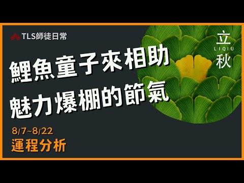 8/7~8/22 立秋占卜｜如何把握神獸們與童子都到位的能量？【瑪叩牌卡‧占卜靈術】