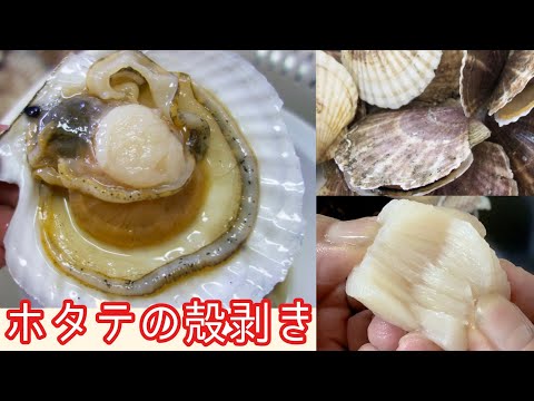 【北海道】殻付きホタテを捌いて刺身にする