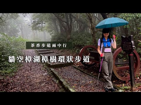 茶香步道雨中行｜貓空樟湖樟樹環狀步道｜石獅腳步道｜cakethree三個蛋糕