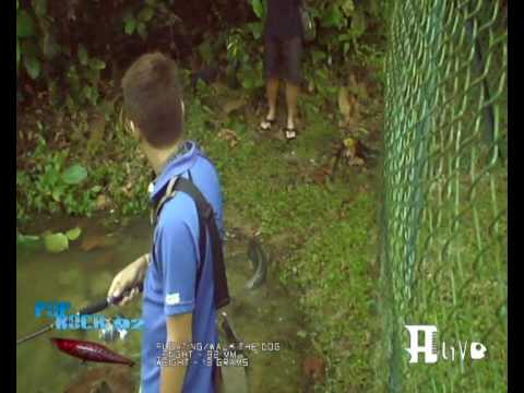 FISHING BUDDY-Alive Lures (part2) by Fishing Buddy.wmv