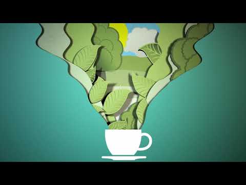 Coffee Cup Animation | Copyright Free Video Footage