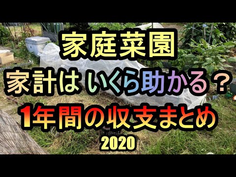 【1年間作った野菜 買ったらHow much？2020】家庭菜園27年目  無農薬 半自給自足 ルーのパパ