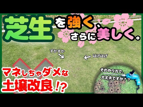 芝生を強くする！ただ、ドリルで土壌改良するときはアレに気をつけて‥【エアレーション、コアリングとの目的の違いも少し】