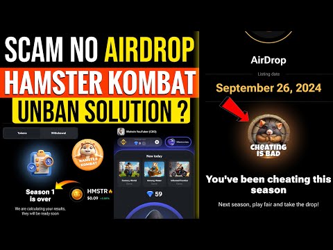 Hamster Kombat You’ve Been Cheating this Season Message | Hamster Kombat Scam?