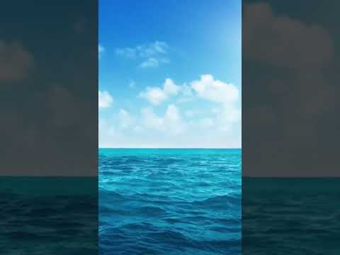 The Sea: Relax With Soothing  Harp Music #relaxingmusic