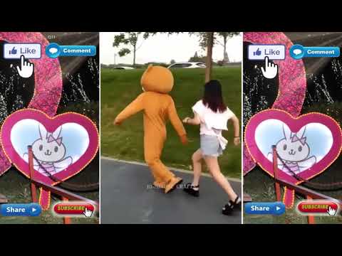 Whatsapp funny videos | BEST FUNNY VIDEOS 2019 | TRY TO STOP LAUGHING p197