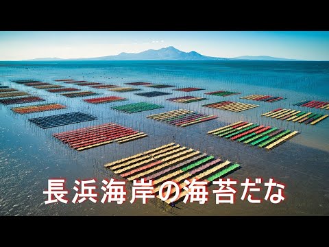 【長浜海岸の海苔だな】4K Air2S