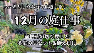 【12月の庭仕事】年内に済ませたい庭作業・宿根草の切り戻し・花苗&球根の植え付け・ガーデニング・#PW #PWアンバサダー　#ガーデリンク