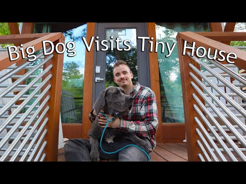 Big Dog visits Tiny House