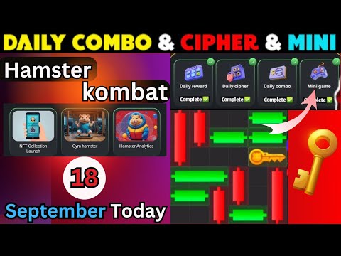 Hamster Kombat mini game 18 September / Cipher codes today / Puzzle game Solved / mini game Today