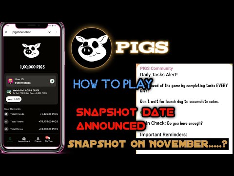 Get ready for pigs Airdrop ✔️ || snapshot on November.... || pigs Airdrop updates