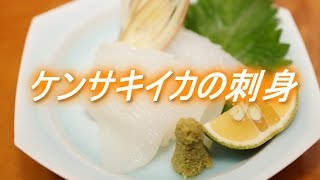 ケンサキイカ（白イカ）の捌き方と刺身