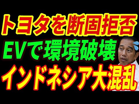 【海外の反応】EVが環境破壊⁉日本を裏切ったインドネシアが中国EVを推進した結果・・・