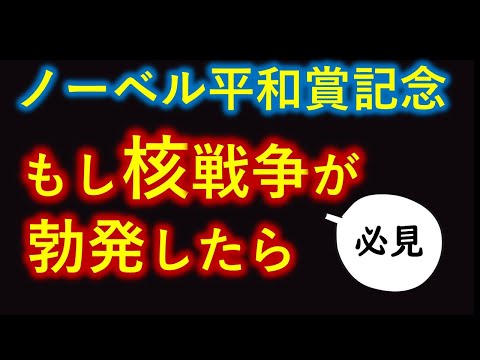 【必見】ノーベル平和賞　日本被団協受賞理由と「もし核戦争が勃発したら」【クローズアップ現代より】