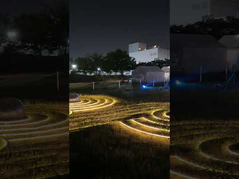 ラブ ライトピア / LOVE LIGHTPIA (Shorts 3) -- お台場 シンボルプロムナード公園 / Symbol Promenade Park, Odaiba (2024/5/20)