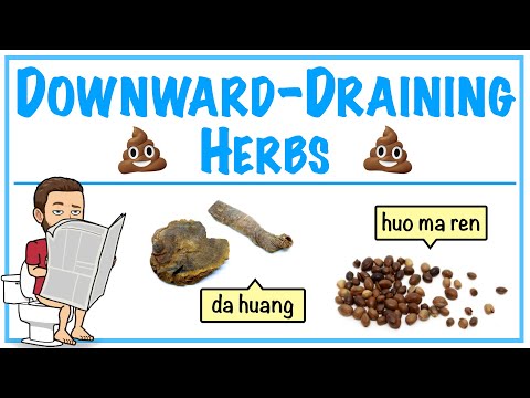 Downward Draining Herbs - Introduction to Chinese Herbology in TCM