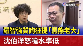 羅智強質詢狂提「黑熊老大」 沈伯洋怒嗆水準低