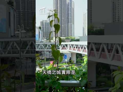 【規劃香港_荃灣 天橋之城（一）】全港最離地！點解呢度咁多天橋？究竟有幾多？