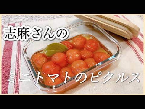 食材１つだけ簡単常備菜！志麻さんのミニトマトのピクルス 志麻さんのレシピ ミニトマト レシピ 副菜 箸休め タサン志麻 沸騰ワード１０ きょうの料理 野菜のおかず 小さな台所 前菜