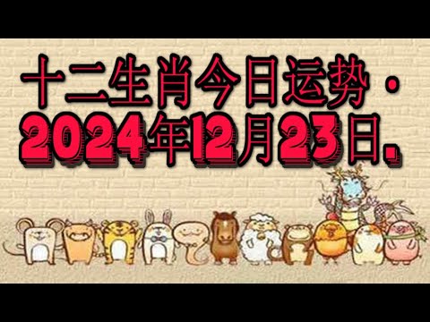 十二生肖今日运势・2024年12月23日.