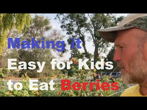 How to entice kids to eat berries from our yard